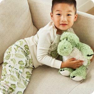 Green Dinosaur Warmies